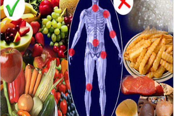 Ernährungs docs rheumatoide arthritis rezepte